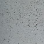1F9A5765 Ash